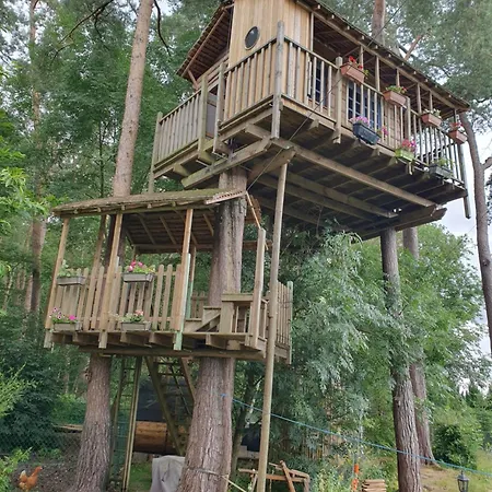 Dans Les Arbres Tente de luxe