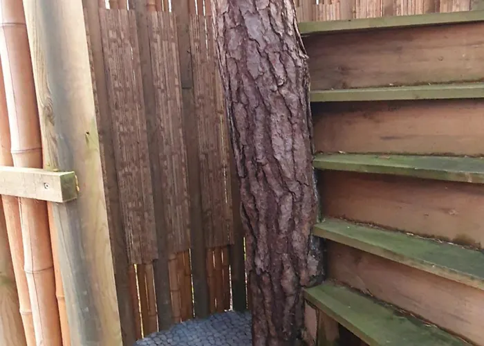 Οργανωμένο κάμπινγκ Dans Les Arbres